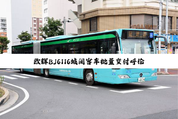 欧辉BJ6116城间客车批量交付呼伦贝尔草原行车队