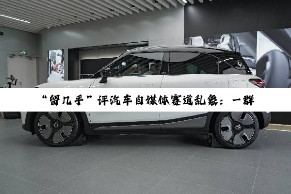 “留几手”评汽车自媒体赛道乱象：一群得了狂犬病的疯狗
