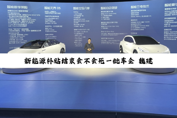 新能源补贴结束会不会死一批车企 魏建军：该退出就退出