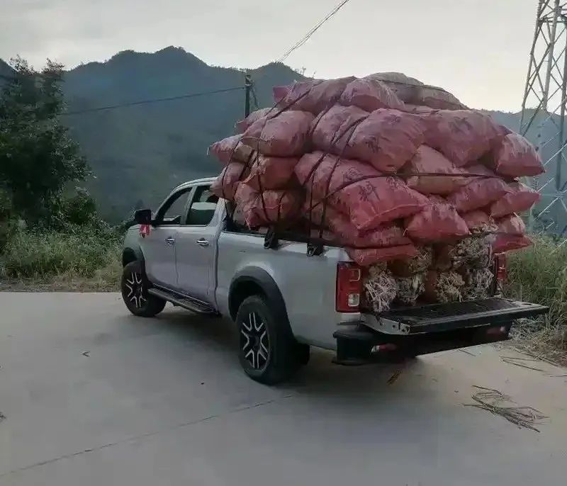 激活皮卡市场,就差临门一脚了